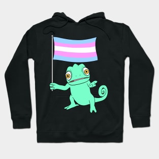 Transgender Chameleon Hoodie